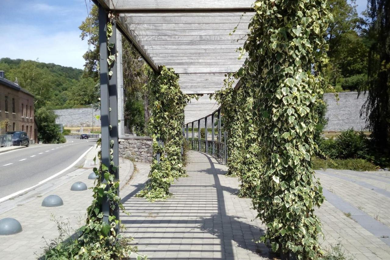 Chalet Siesta Is Rust & Natuur In Durbuy - Barvaux-Sur-Ourthe エクステリア 写真
