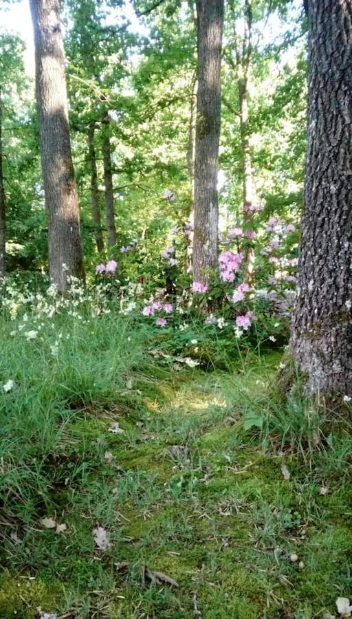 Chalet Siesta Is Rust & Natuur In Durbuy - Barvaux-Sur-Ourthe エクステリア 写真